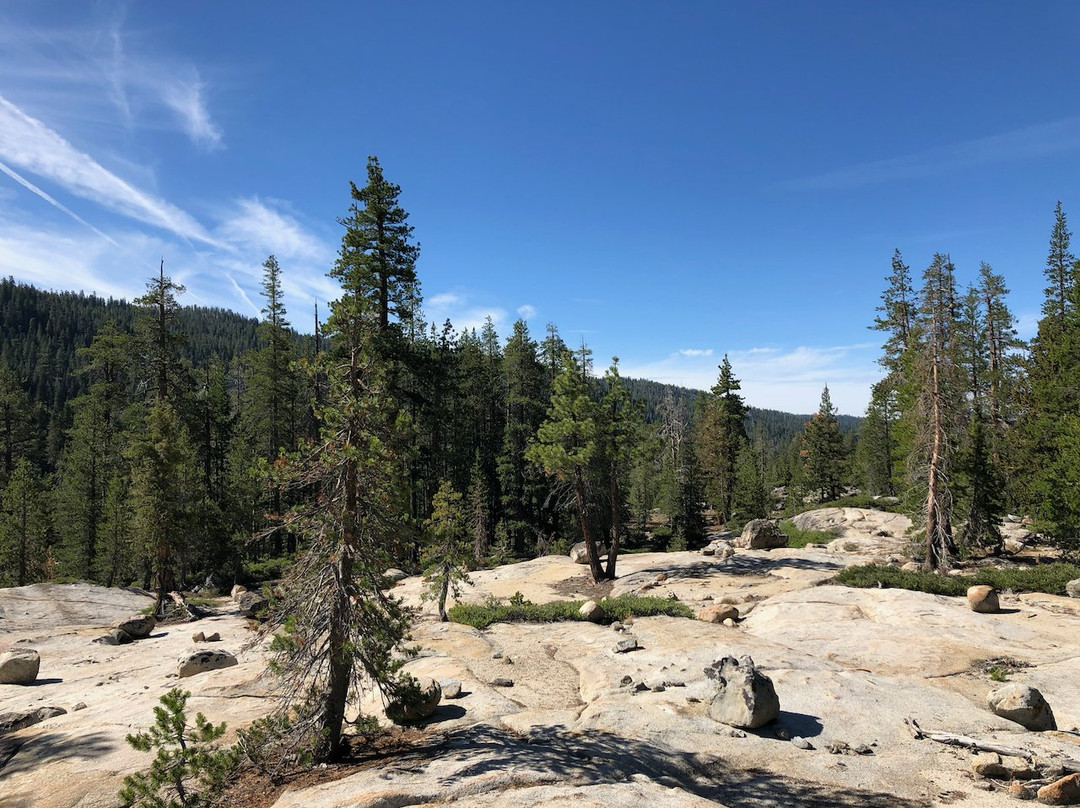 Yosemite Fly Fishing Guide景点图片