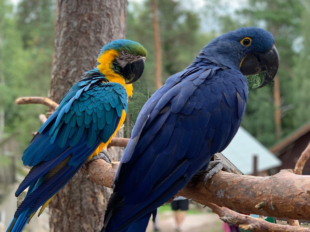 Lomamäki Petting Zoo-Inkoo必去景点