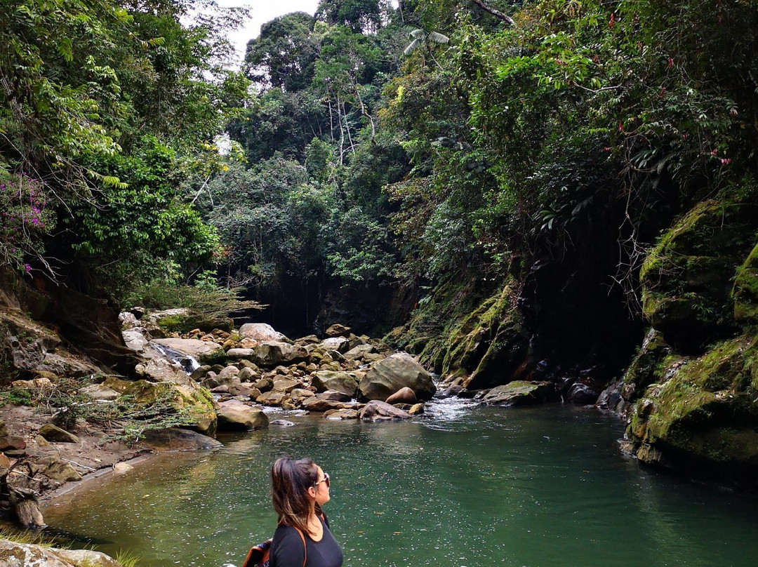 Cascadas de Pishurayacu-Tarapoto必去景点