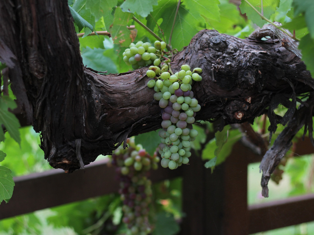 RustRidge B&B / Winery主图