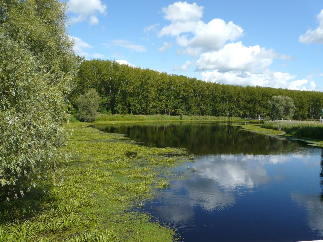 Omsk Oblast旅游攻略图片