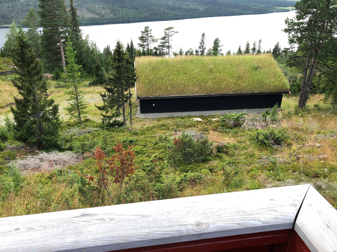 Gala Mountain Cabins