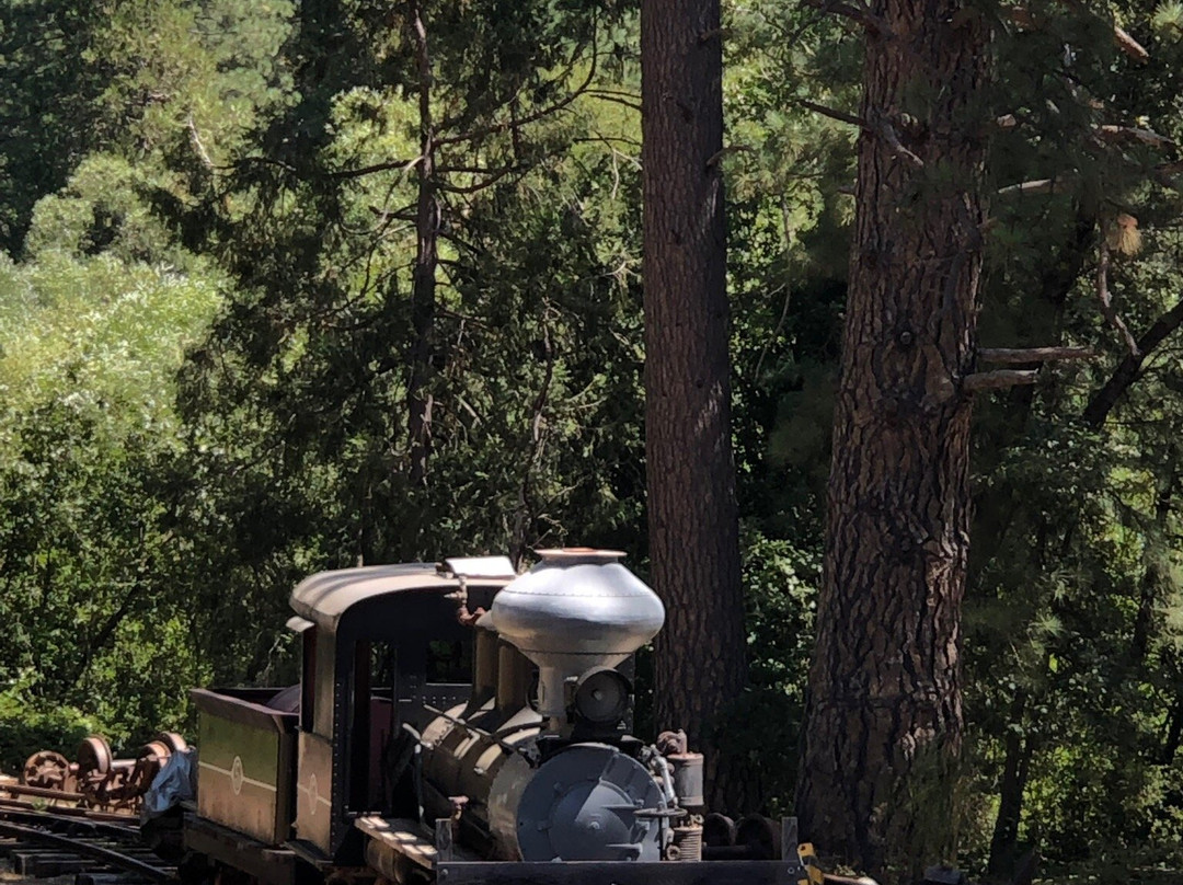 Nevada County Narrow Gauge Railroad Museum景点图片