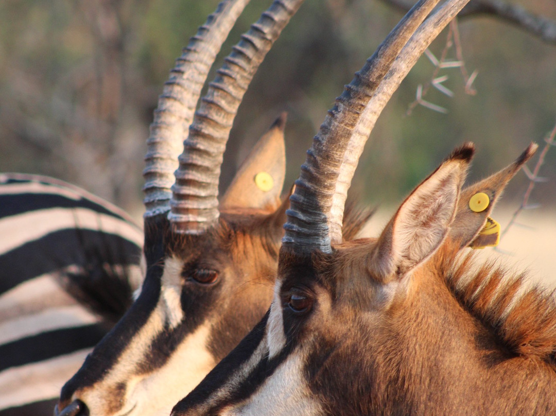 Schamach Guest Farm主图