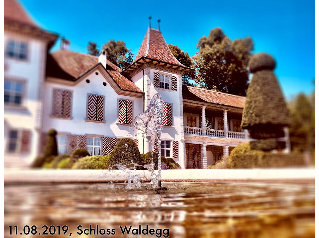 Schloss Waldegg景点图片