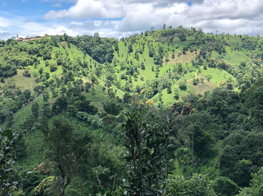 New Force Hsipaw Trekking-西保必去景点