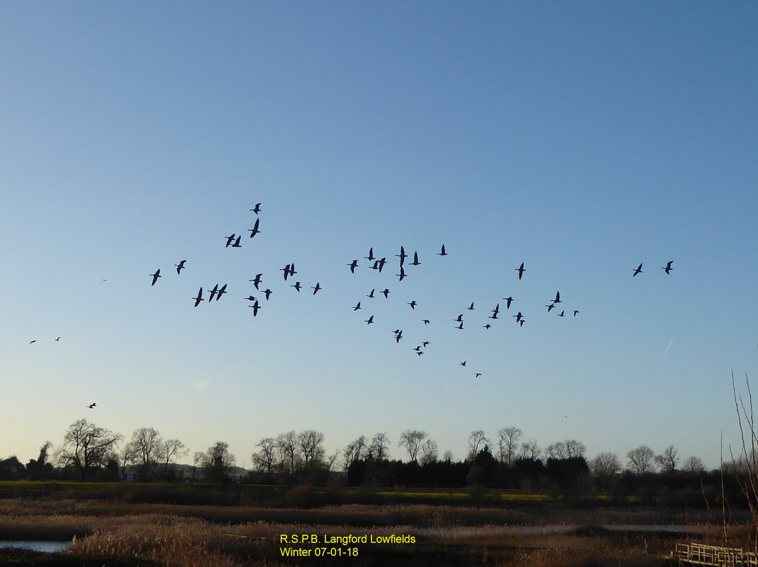 RSPB Langford Lowfields景点图片