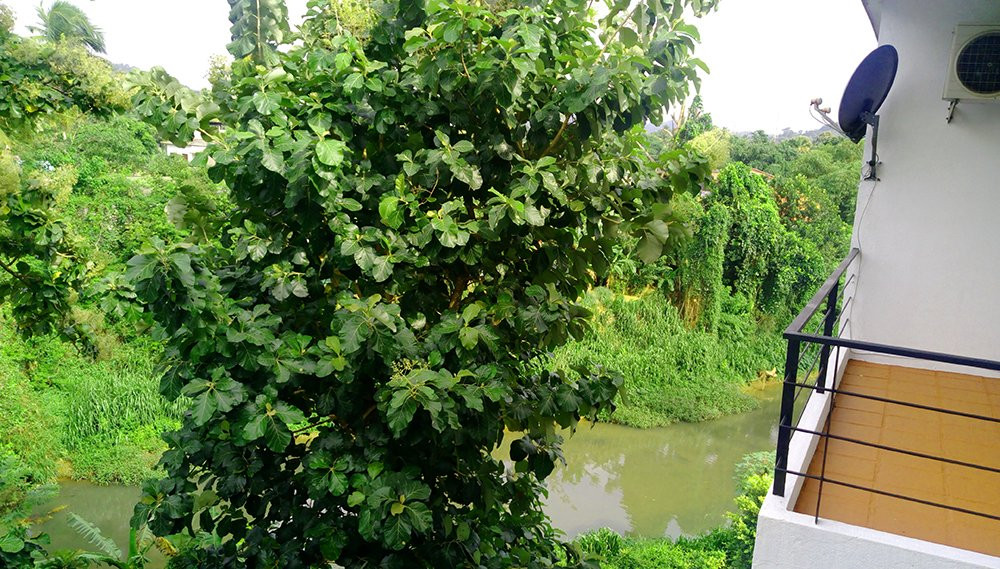 Grindlays Regency (Pvt)ltd主图