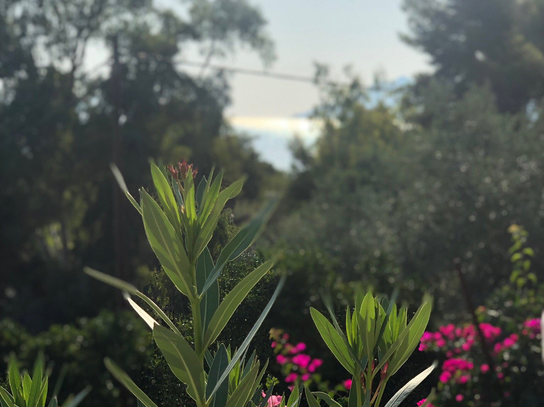 Maria Apartments Studios Epidavros主图