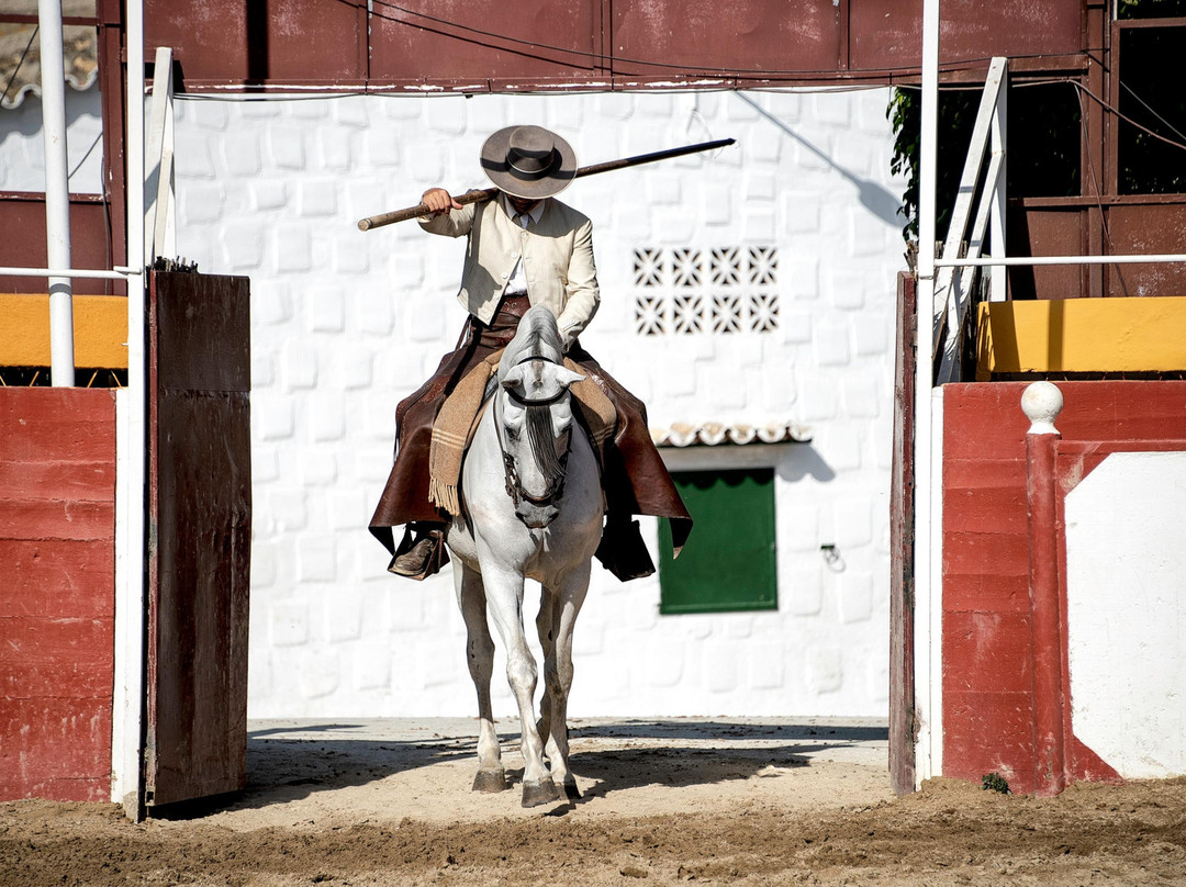Spanish Night-Las Lagunas de Mijas必去景点