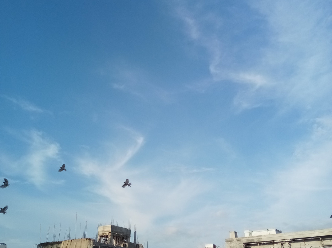 达拉斯动物园-达拉斯必去景点