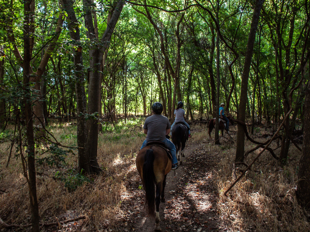 Lone Star Ranch-奥斯丁必去景点