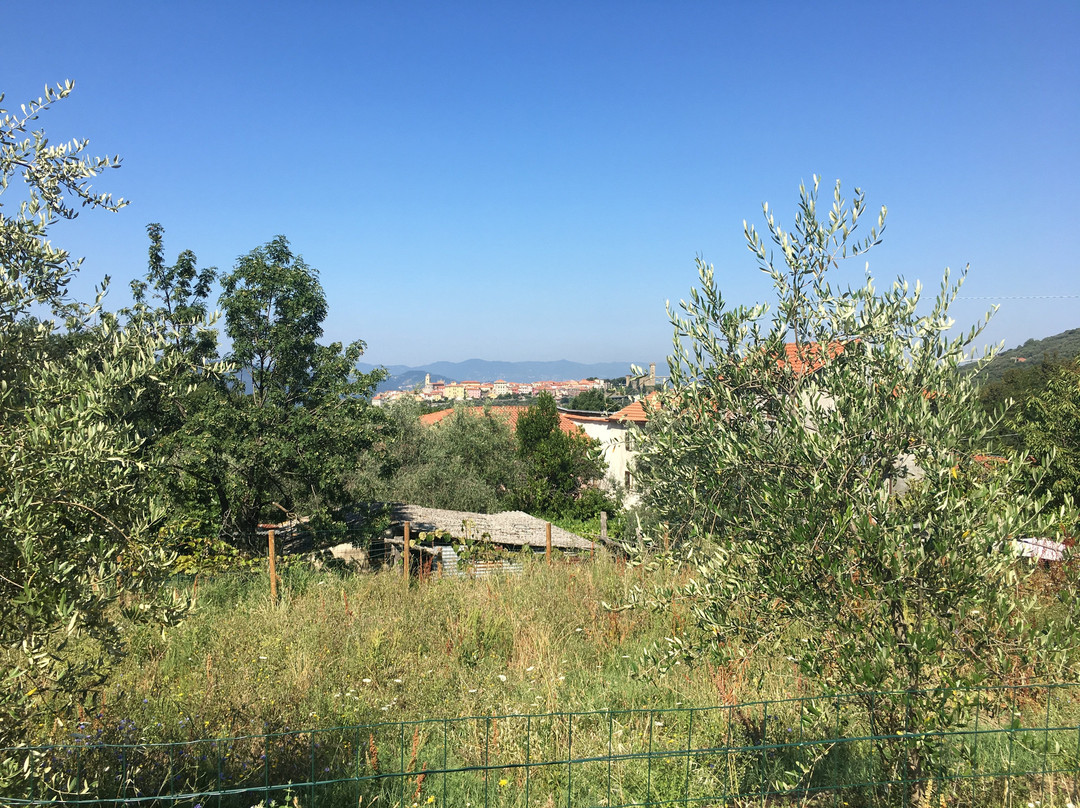 B&B Borgo Marciano