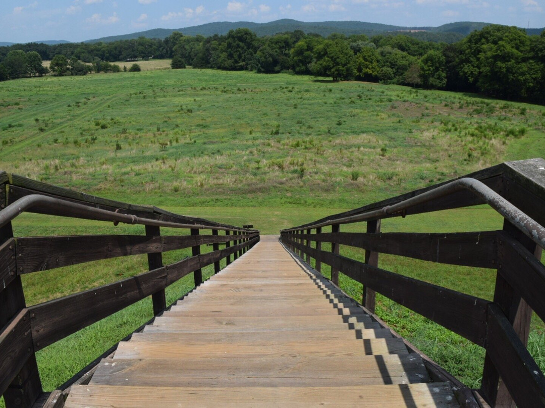 Etowah Indian Mounds State Park景点图片