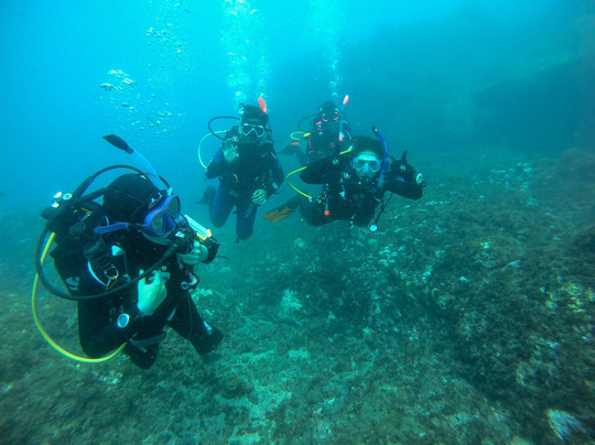 Tenerife Diving Academy-Abades必去景点