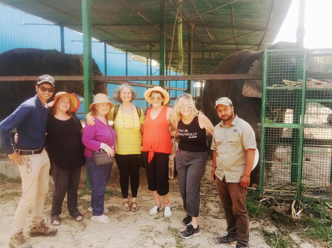 Seven Wonder Tours (Taj Day Tours)-阿格拉必去景点