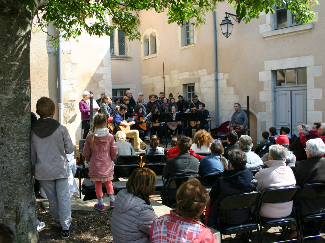 Musée de la Loire景点图片