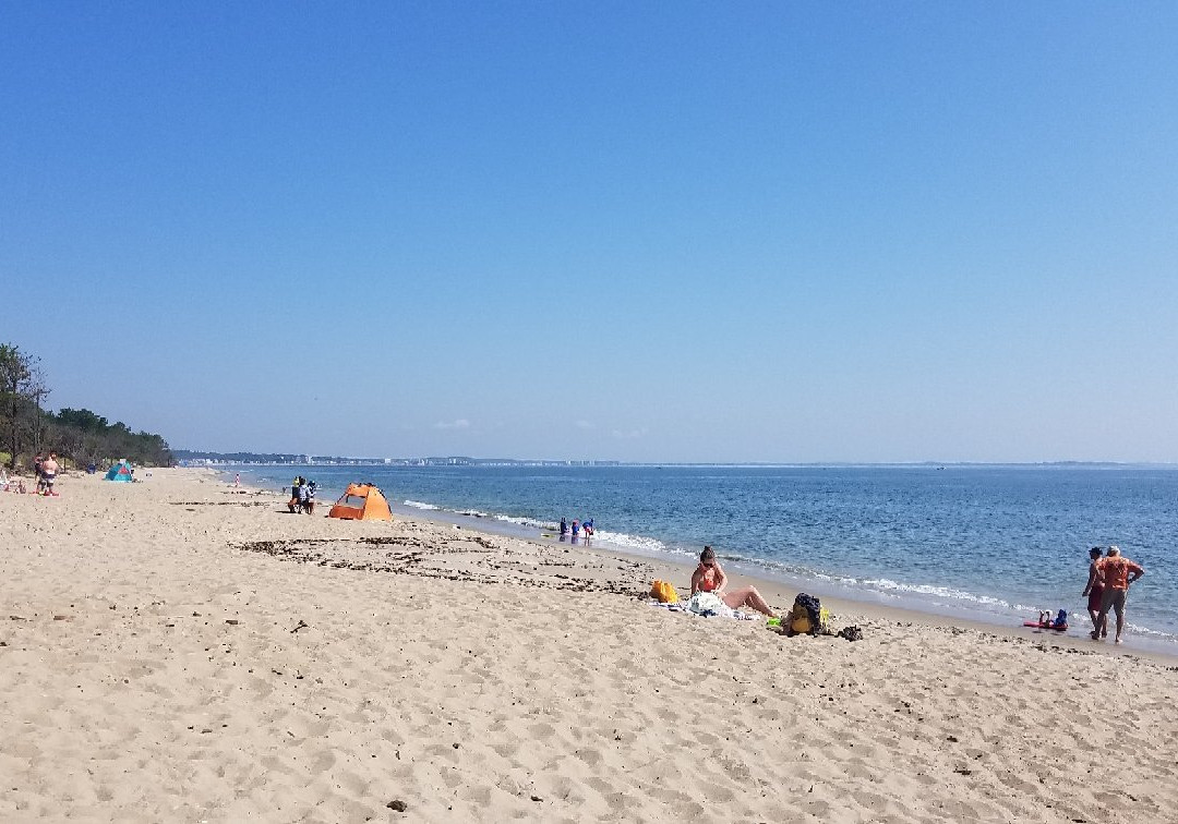 Ferry Beach State Park景点图片