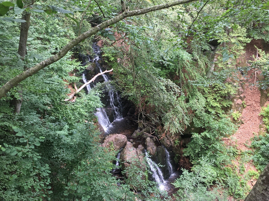 Forsakar Nature Reserve-Degeberga必去景点