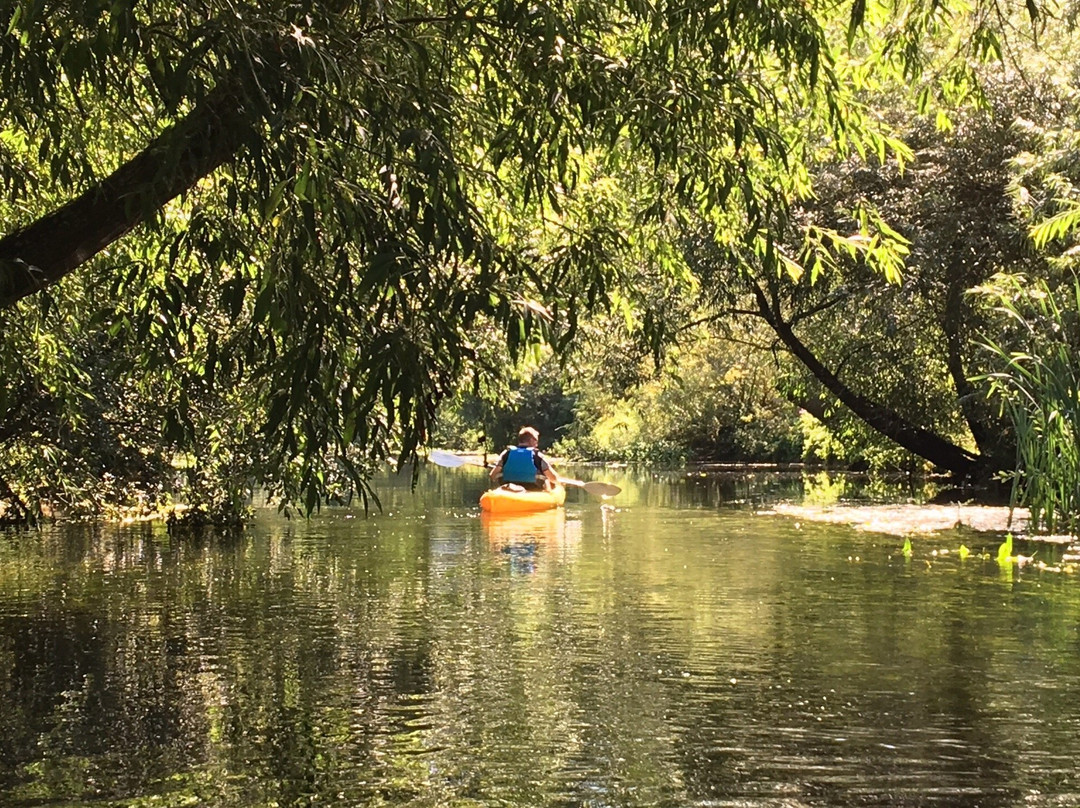 Canoe Wild景点图片