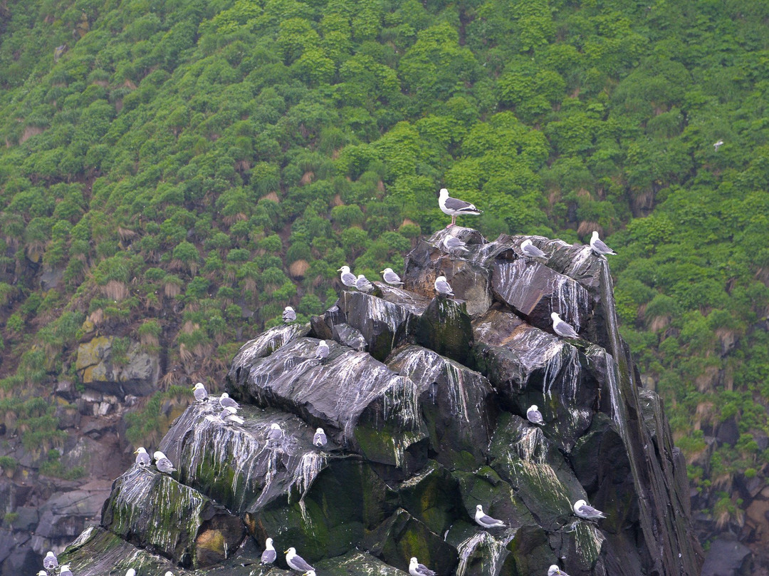 Starichkov Island-Yelizovo必去景点