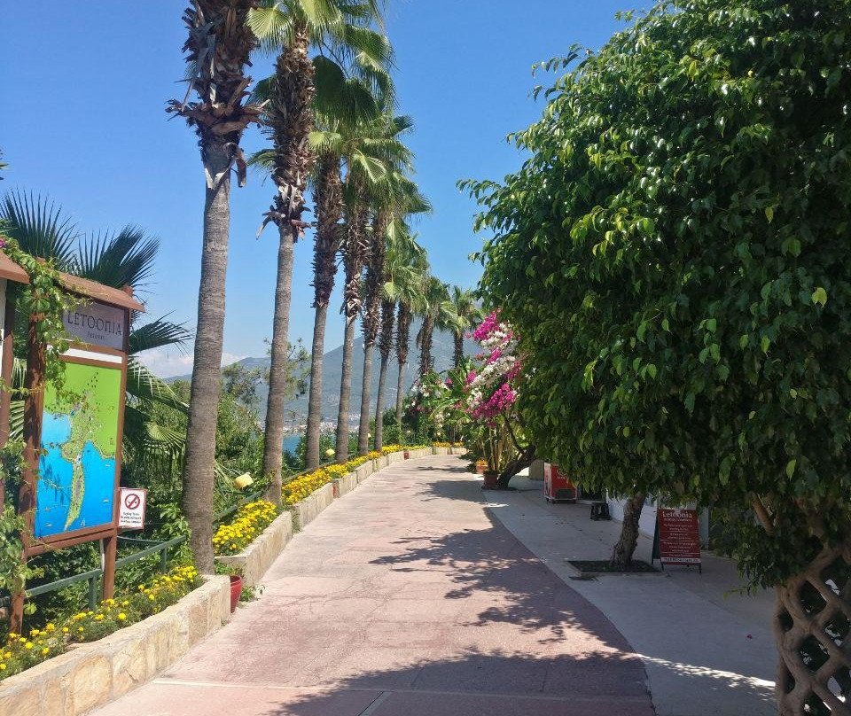 Club & Hotel Letoonia主图