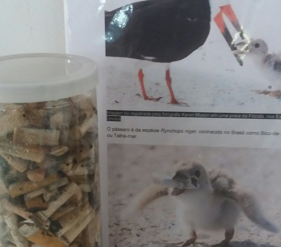 Natural Science Museum-瓜鲁柳斯必去景点