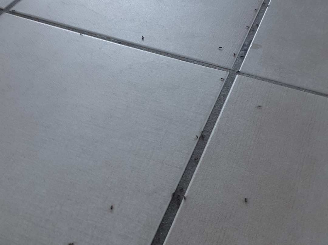 Hotel Alexander主图