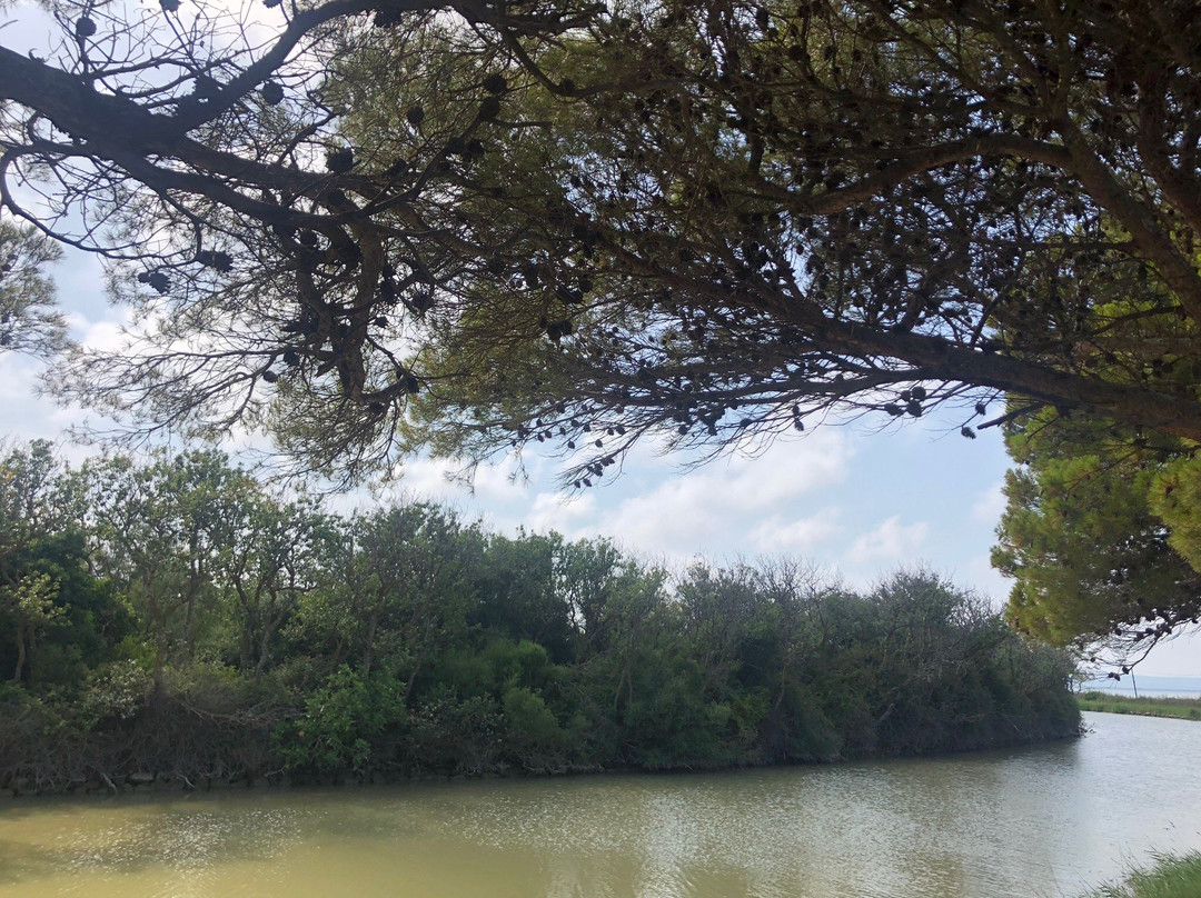 Reserve Naturelle Sainte Lucie-Port La Nouvelle必去景点