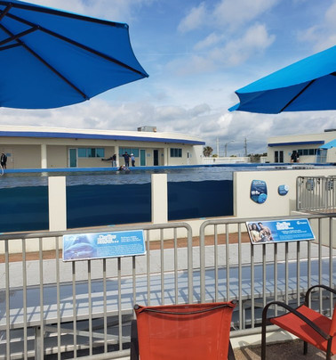 Marineland Marina-圣奥古斯丁必去景点