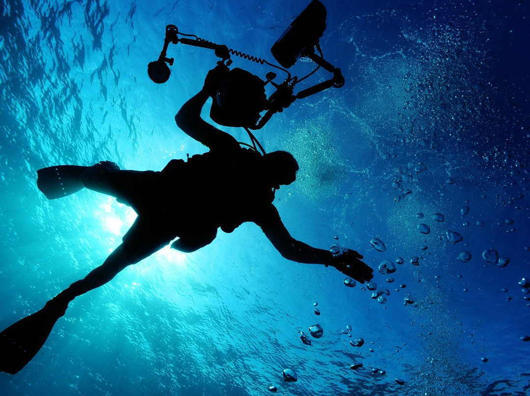 Mykonos Diving Center景点图片