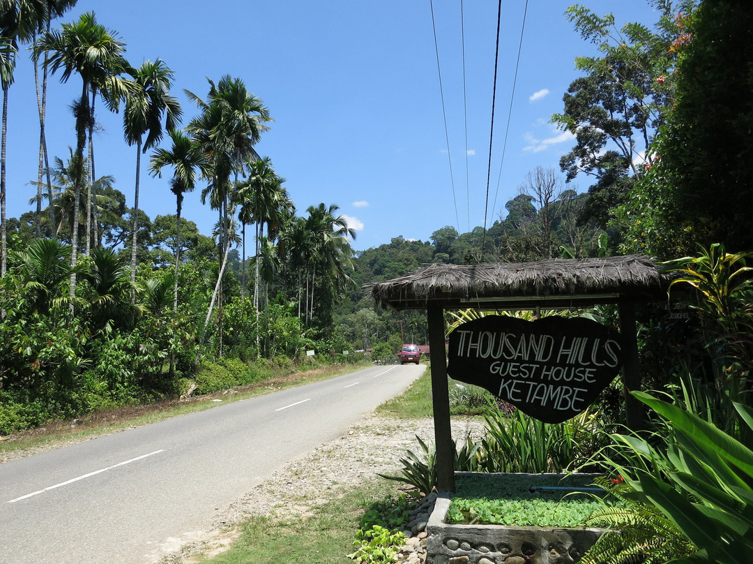 Thousand Hills Ketambe主图