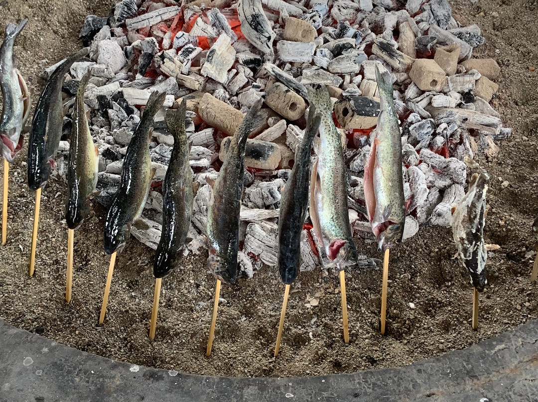 Yuzawa Fishing Park景点图片