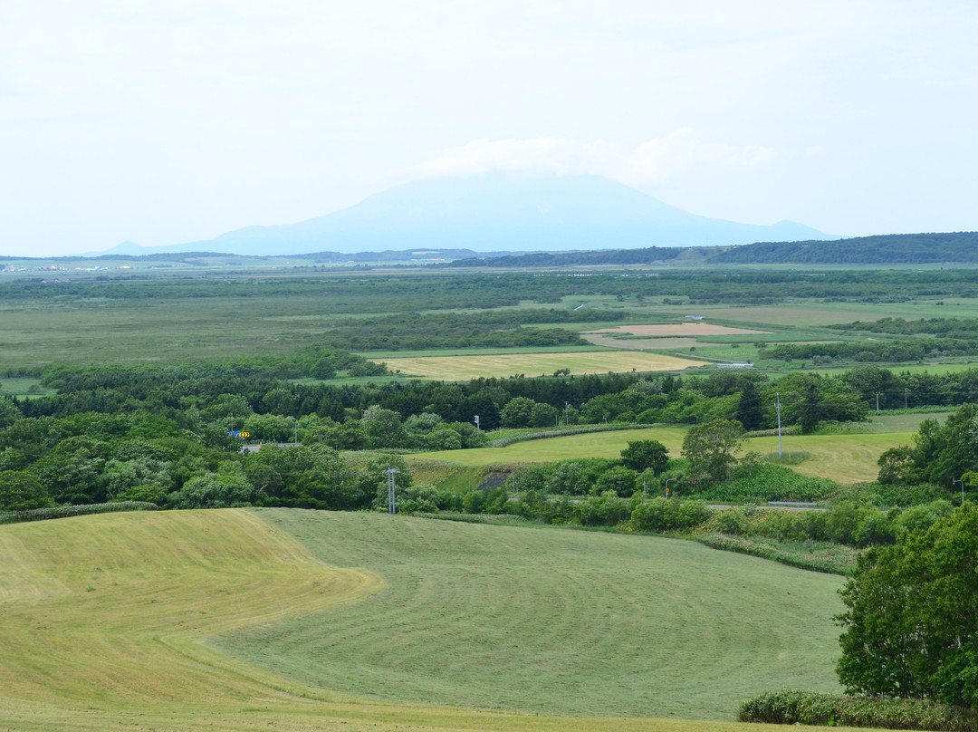 Miyanodai Observation Tower-丰富町必去景点