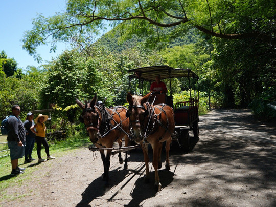 威毕欧山谷车游-霍诺卡阿必去景点