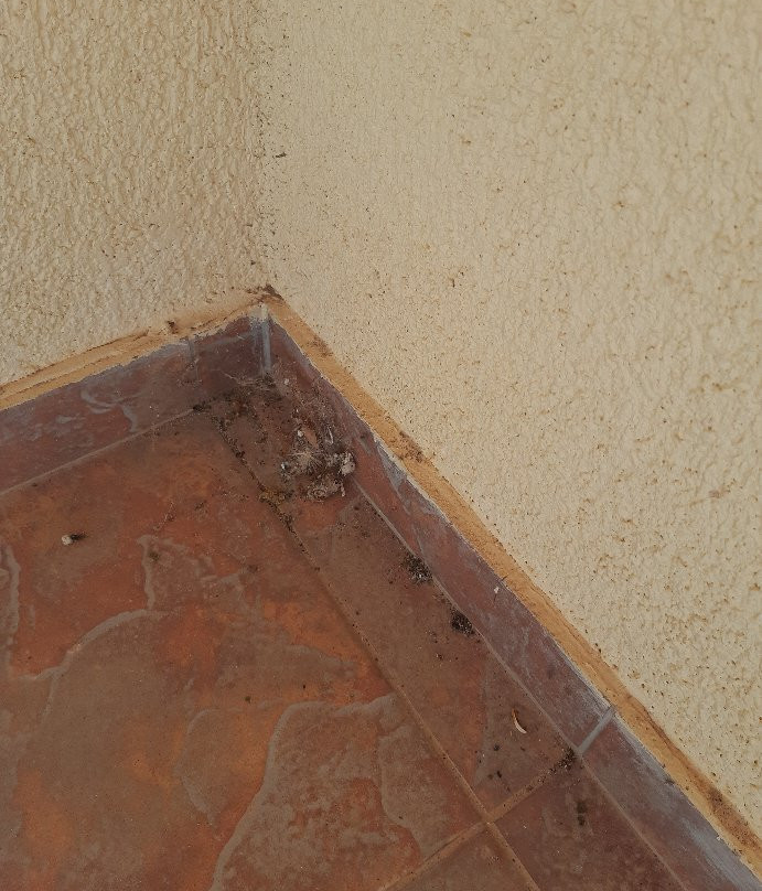 Hotel Mikri Archondissa主图