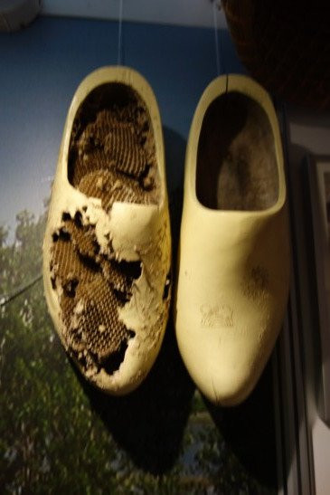 Schoonewelle museum voor Natuur en Ambacht-Zwartsluis必去景点