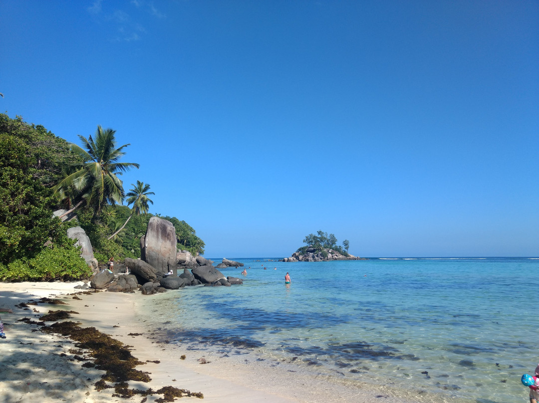 Nautical Adventure Charters-伊甸岛必去景点