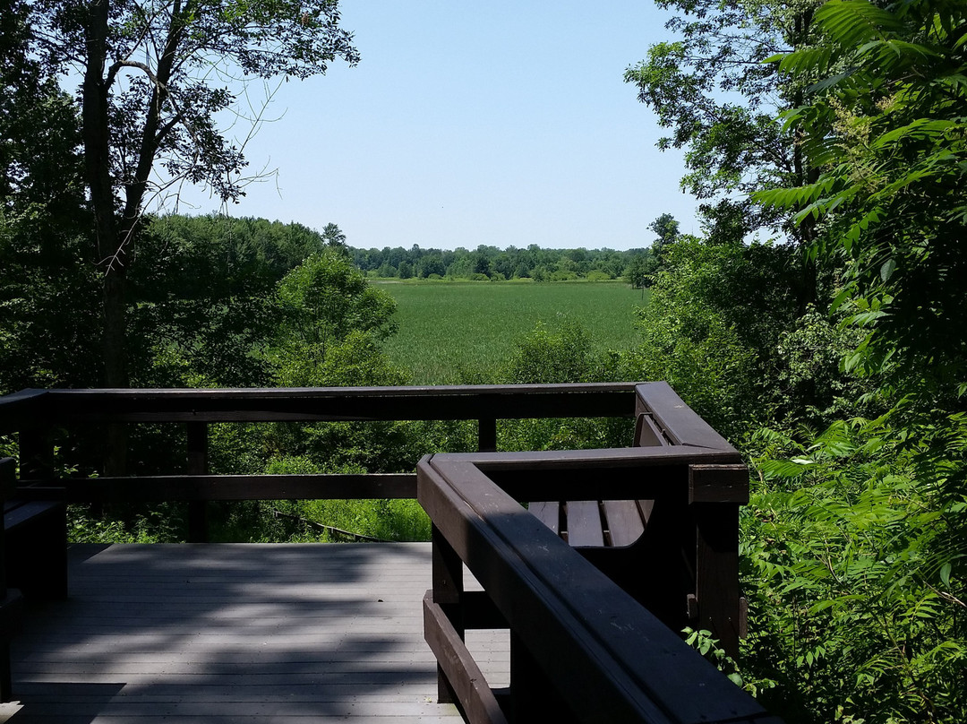 Three Rivers Wildlife Management Area-Baldwinsville必去景点