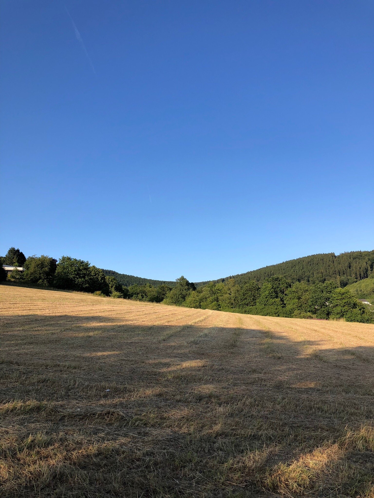 Design Hotel Sauerland-官方