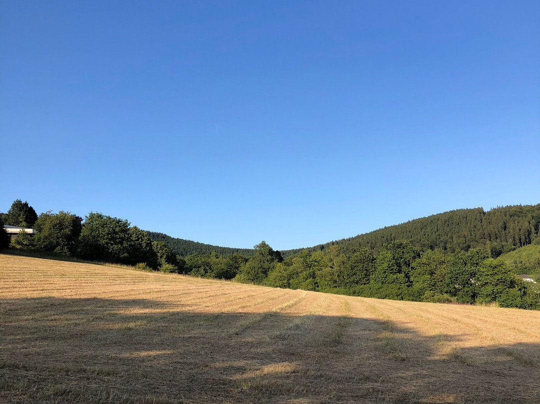 Design Hotel Sauerland主图