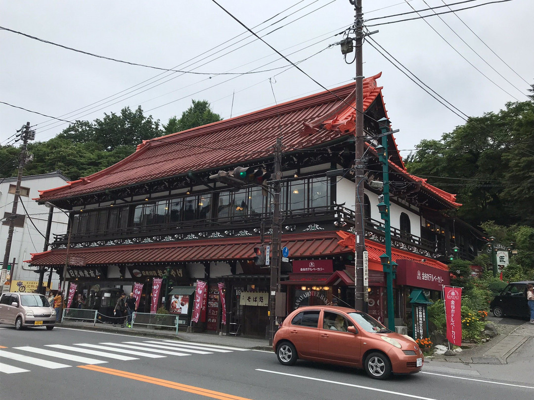 Nikko Bussan Shoukai-日光市必去景点