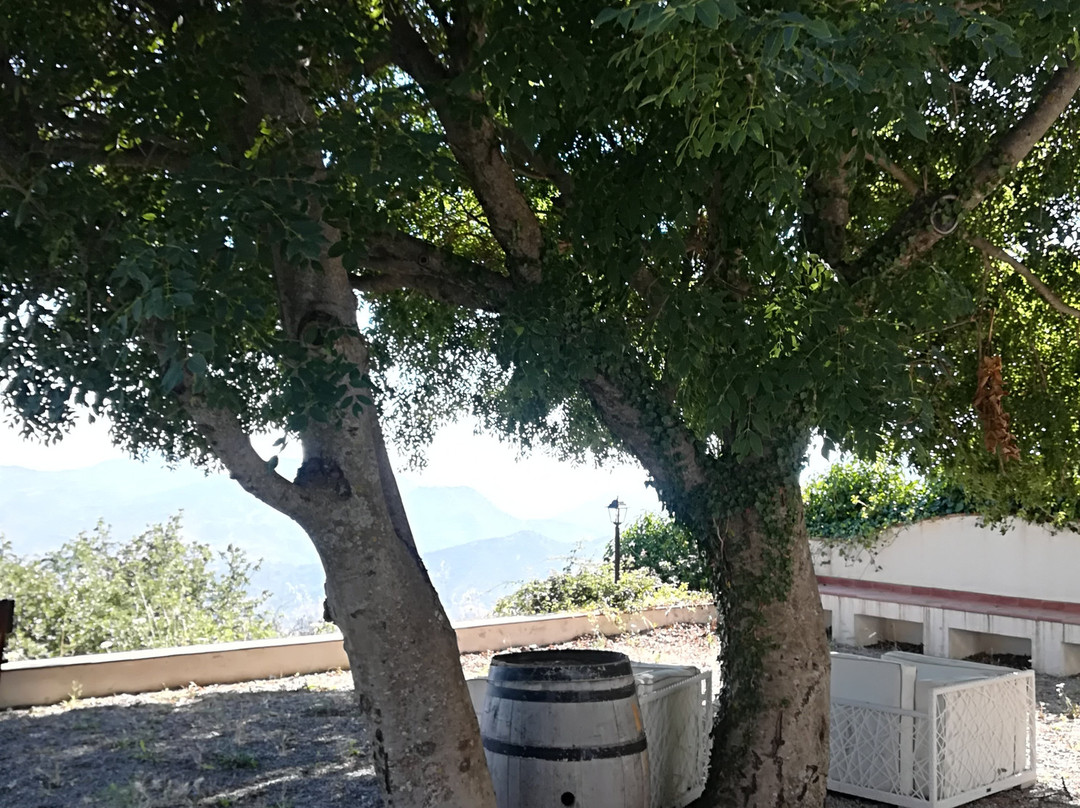 b&b I Frassini主图