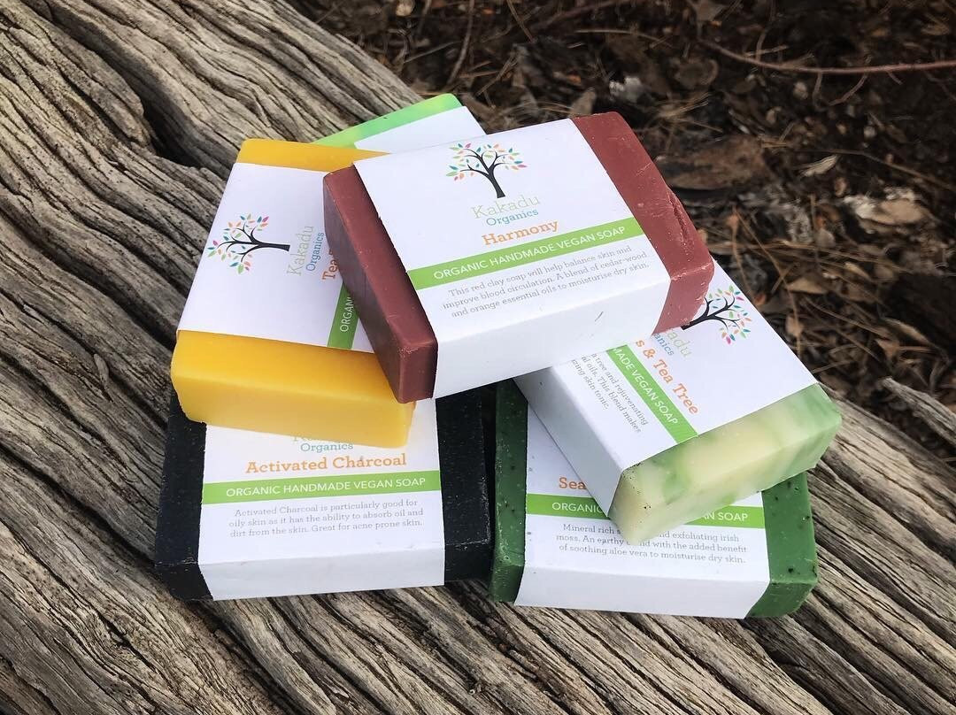 Dingo Dreaming-Blyth必去景点