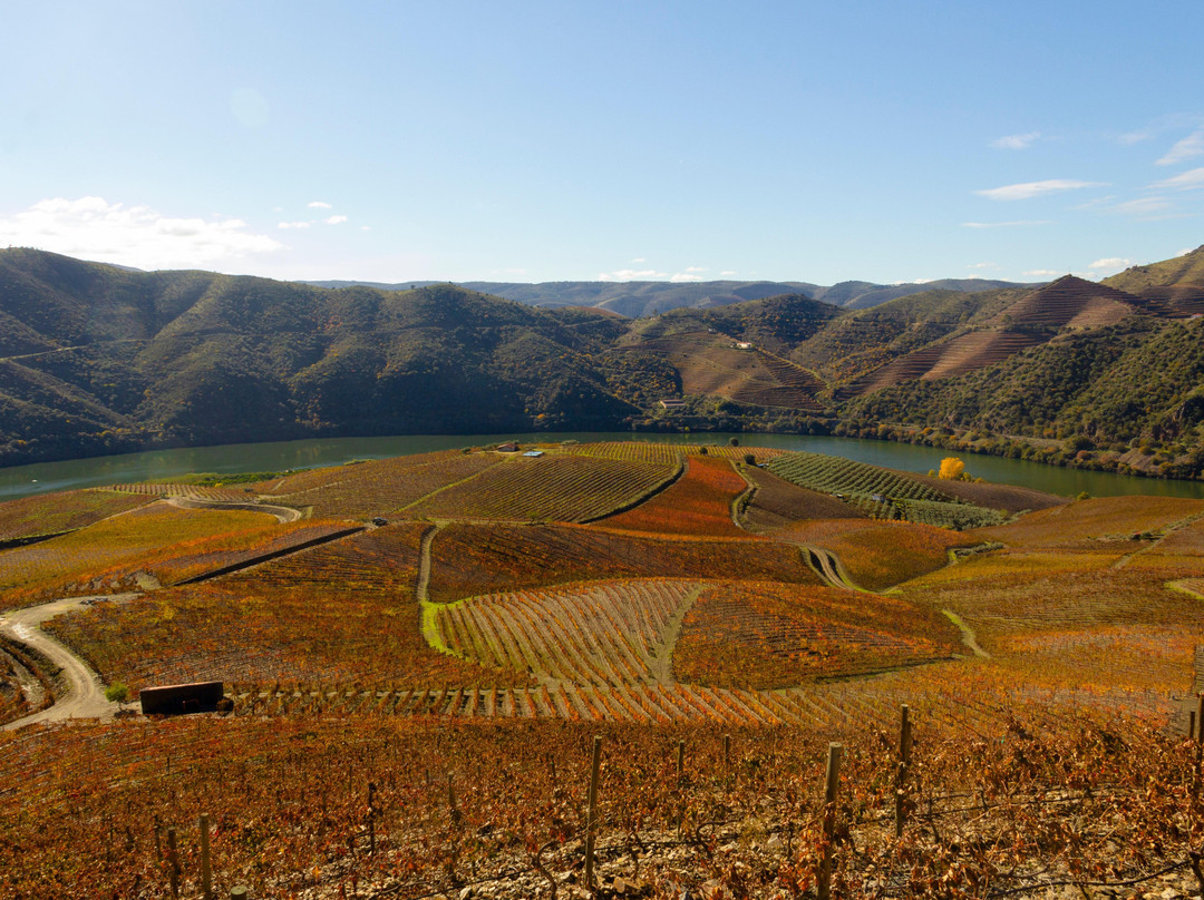 Douro Xperience景点图片