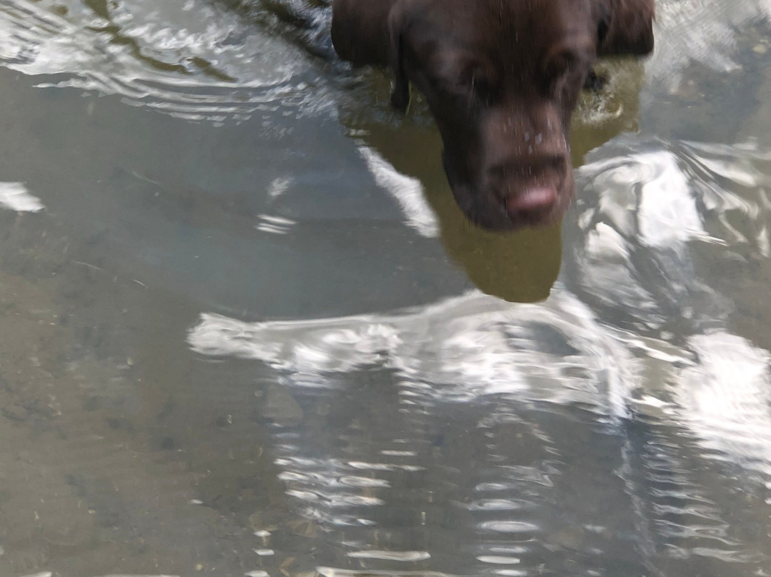 Stones River Greenway-默弗里斯伯勒必去景点