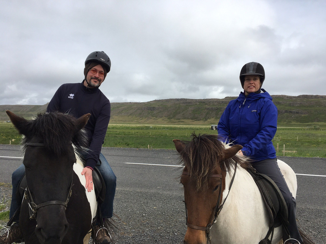 Stori-Bakki Riding Tours-埃伊尔斯塔济必去景点