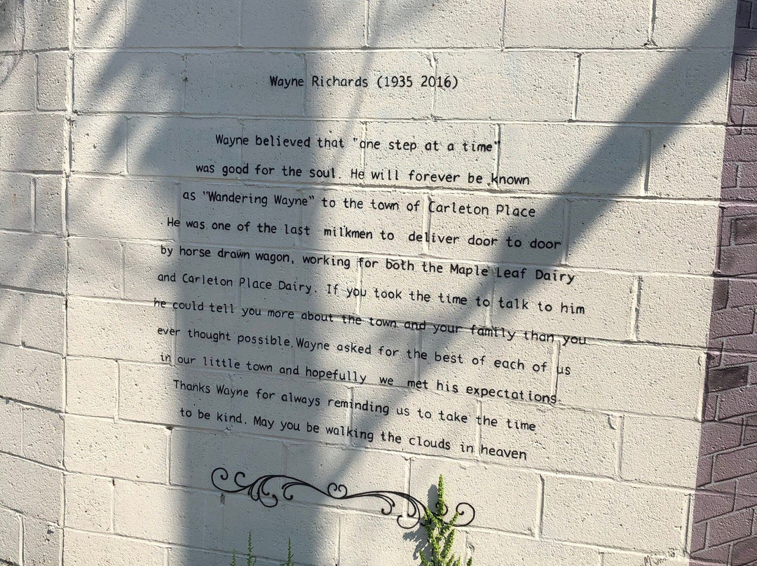 Downtown Murals-Carleton Place必去景点