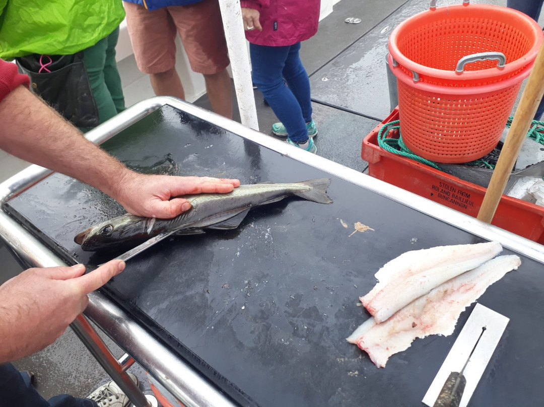 Causeway Coast Foodie Tours-科尔雷恩必去景点