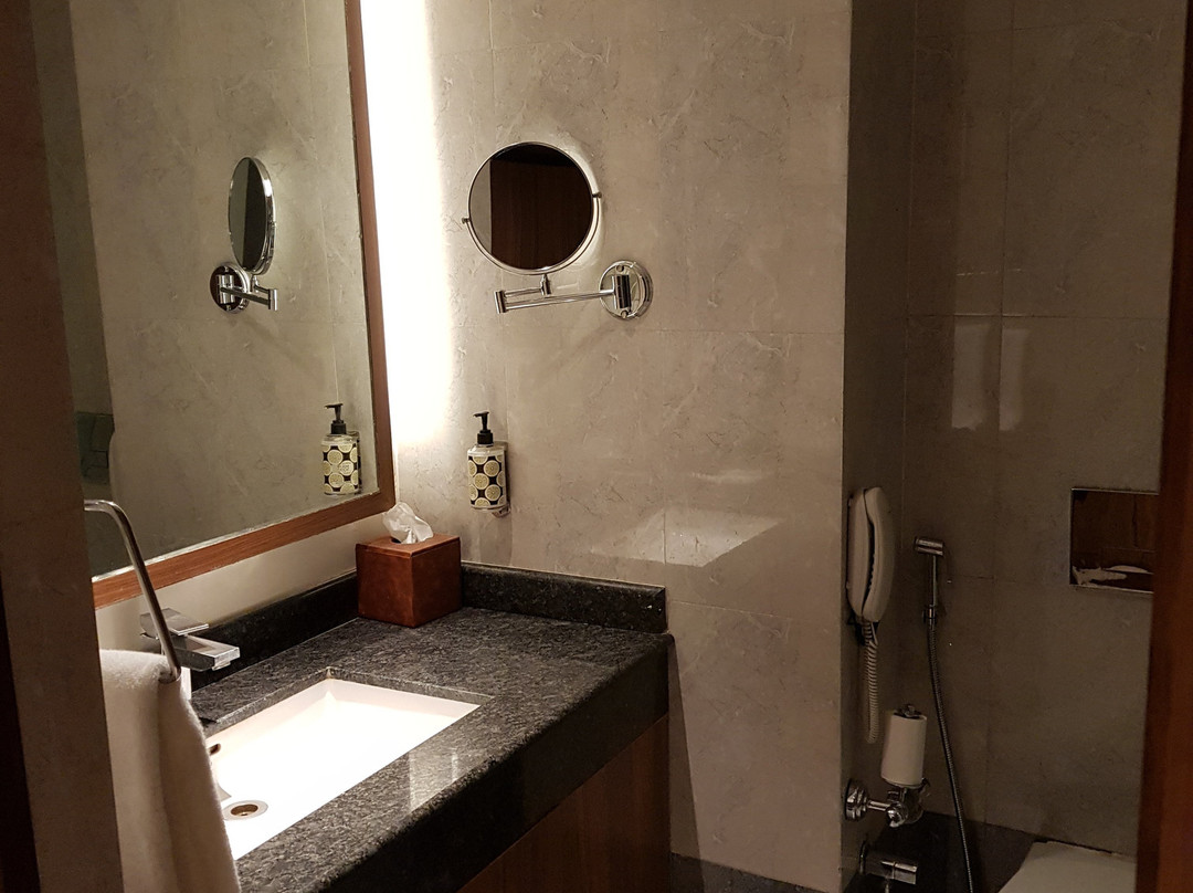 Lemon Tree Premier, Patna主图